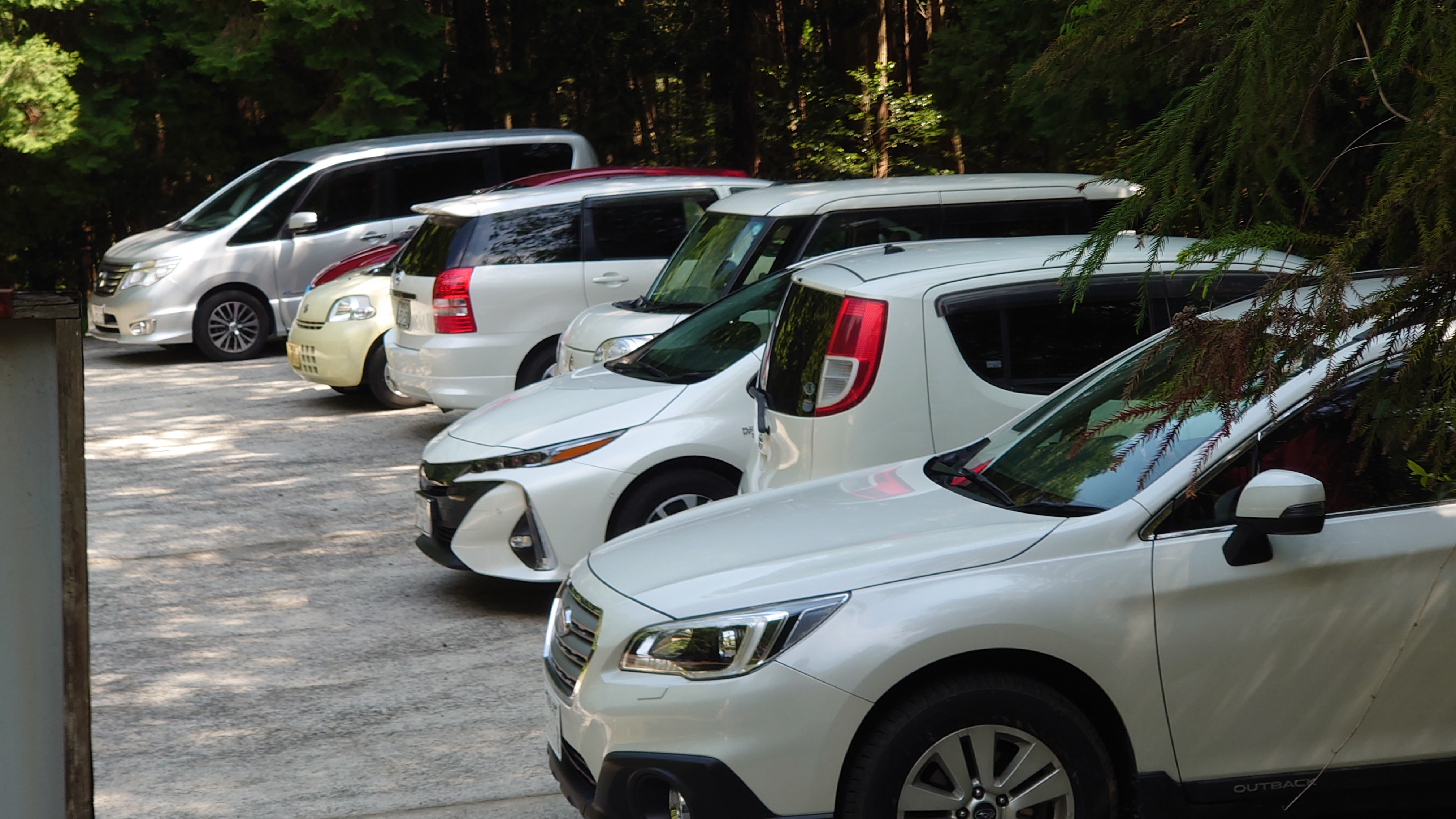 笠松山ふたたび ガメラと遭遇 Su さんさんの今治市 東エリアの活動日記 Yamap ヤマップ