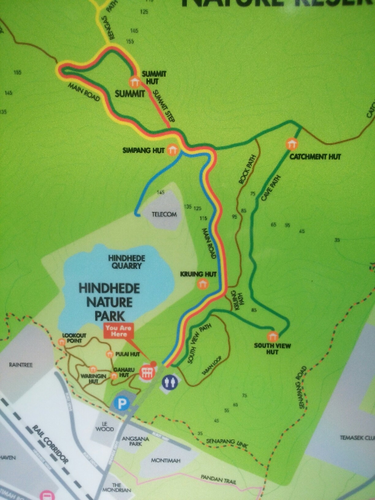 シンガポール最高峰 ブキティマ ヒル ポンタさんのシンガポールの活動データ Yamap ヤマップ