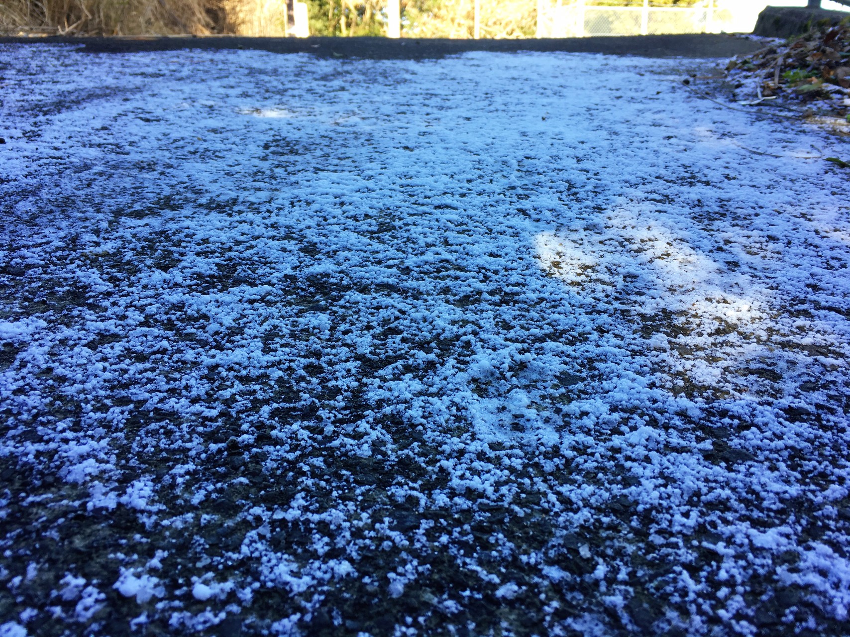 ロマン飛行はヒマン非行 の巻 岳女ハムストりんこさんの四国遍路その1の活動日記 Yamap ヤマップ