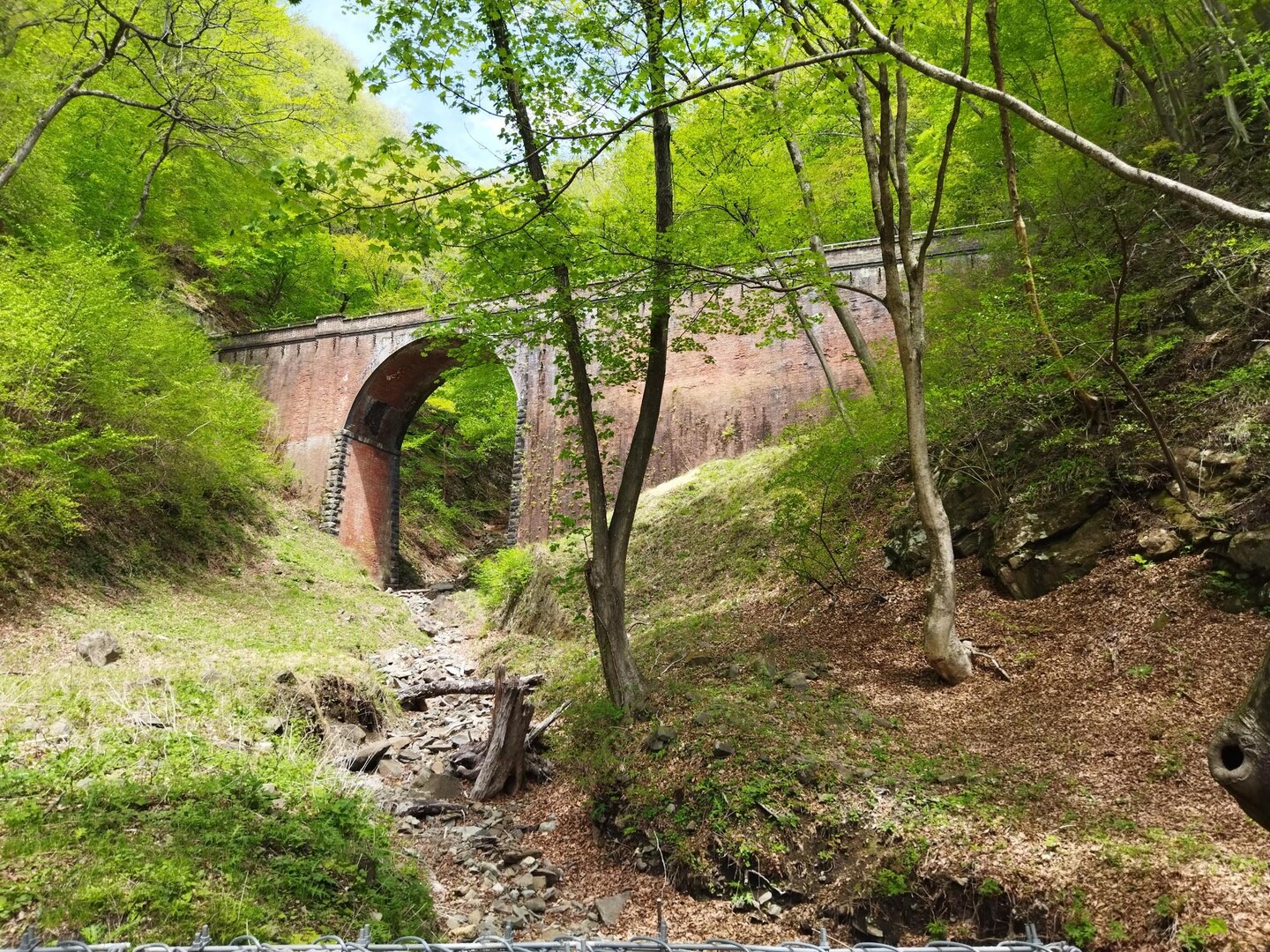 karuizawa-trail-running-race-20k-yamap