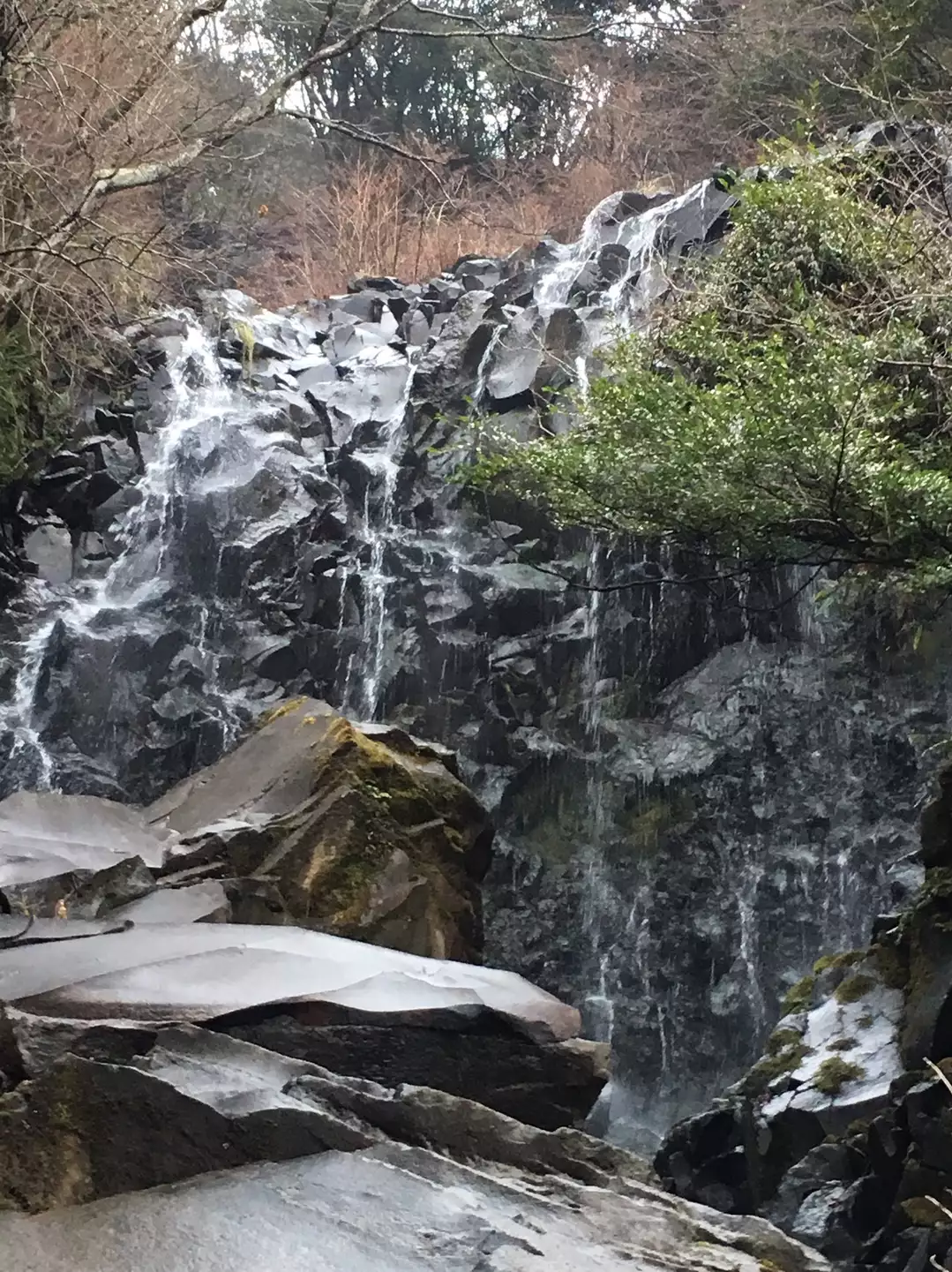 パワースポット 箱根飛竜の滝 ちーしゃさんの箱根山 神山の活動日記 Yamap ヤマップ
