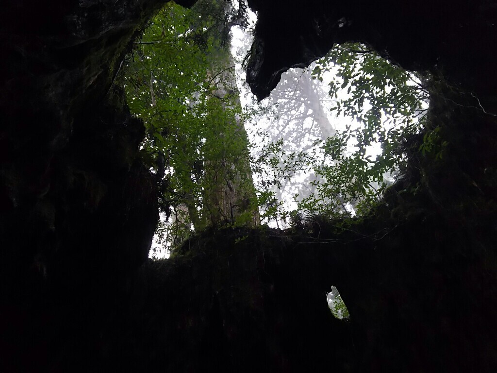 屋久島 縄文杉 たなかさんの屋久島 宮之浦岳の活動日記 Yamap ヤマップ