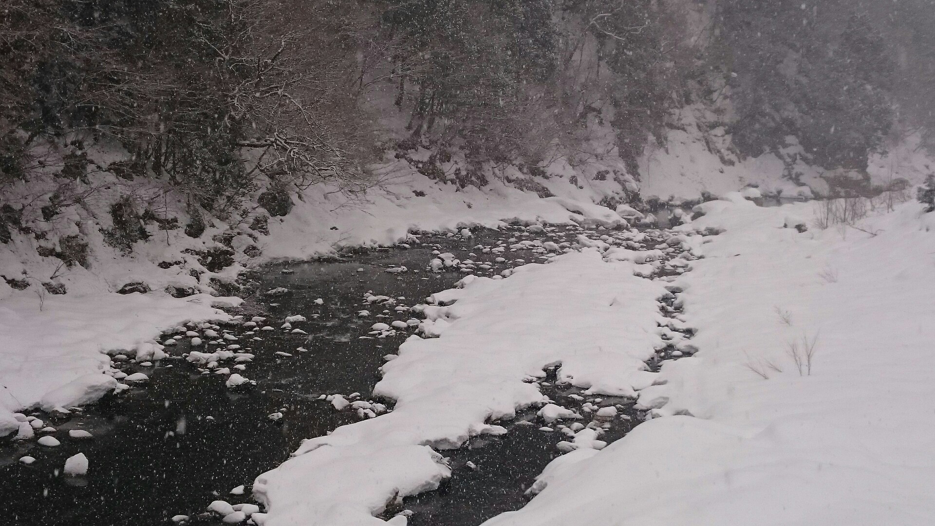 渓流釣りと越前大野冬物語 シュガーさんの飯降山 御岳 の活動日記 Yamap ヤマップ
