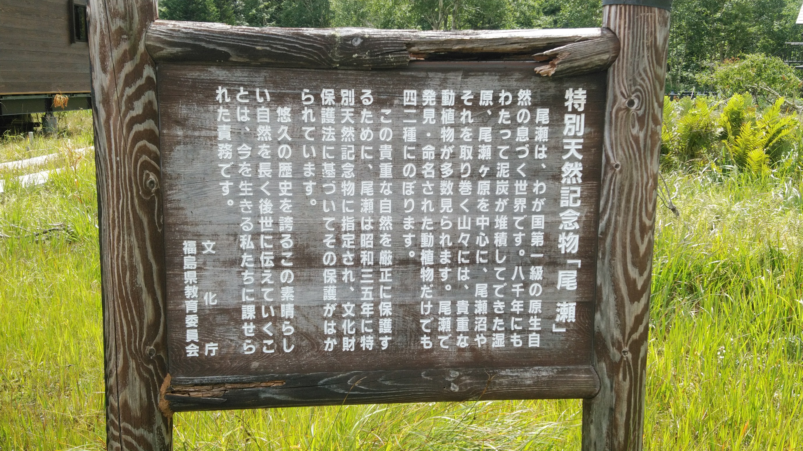 御池より燧ヶ岳 至仏山 そして尾瀬ハイク 風太さんの尾瀬 燧ヶ岳の活動データ Yamap ヤマップ