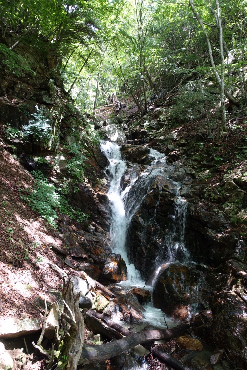 滝子山登山ルートの地図 登山ルート 登山口情報 Yamap ヤマップ