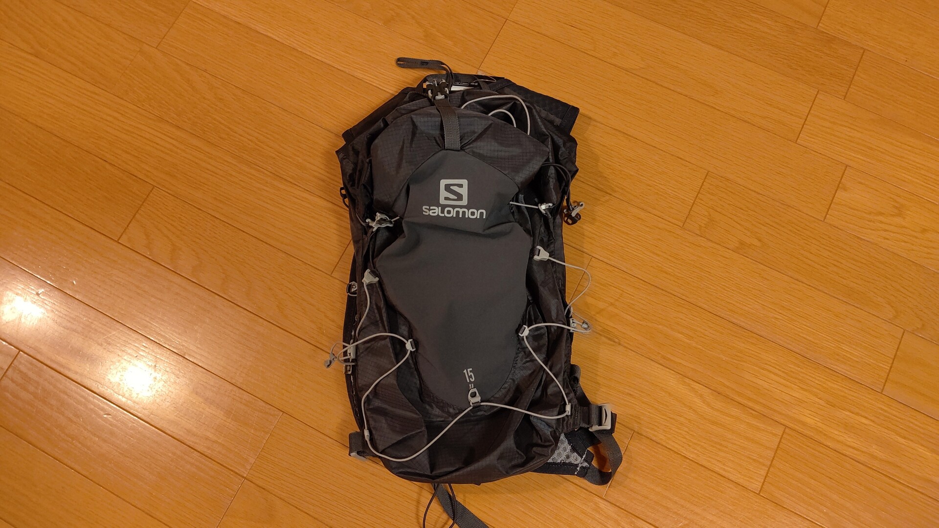 Newギアゲット サロモン15l トレランザック購入 ぽいっさんの高尾山 陣馬山 景信山の活動データ Yamap ヤマップ