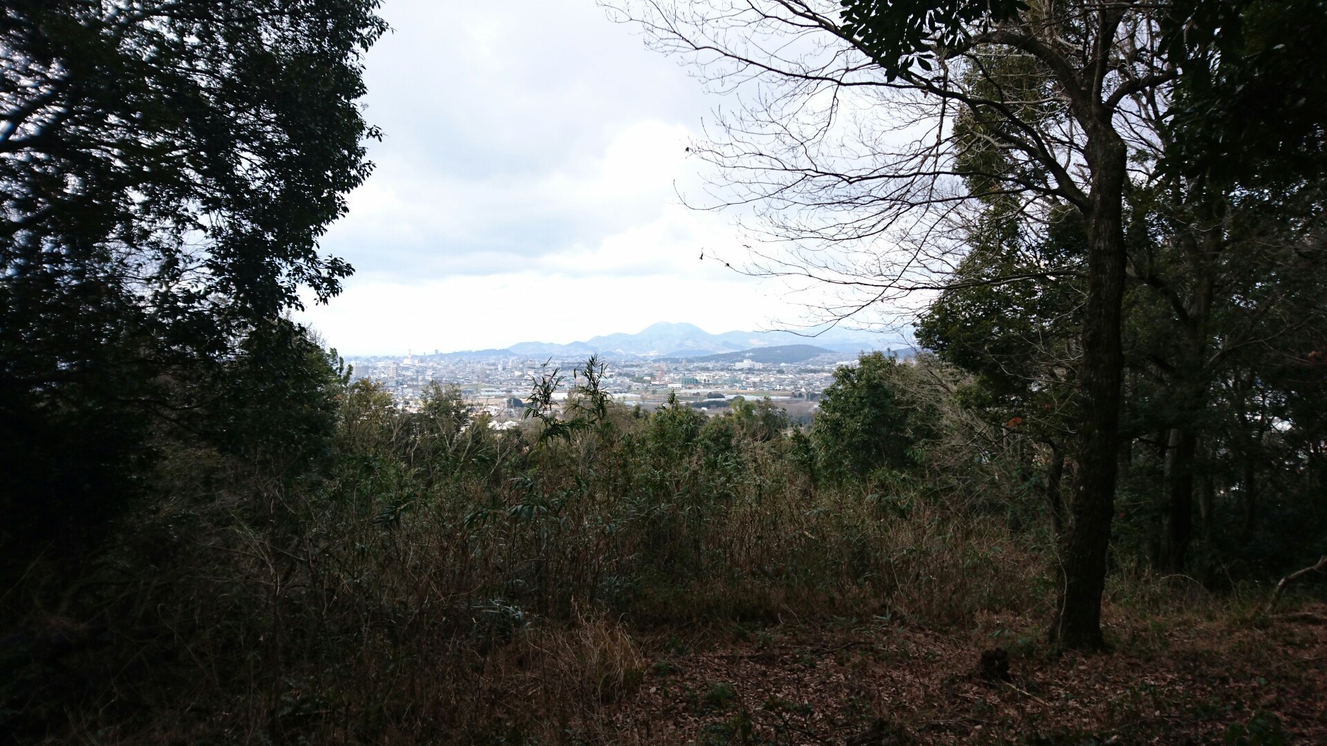 戸島山 20170211 / yavさんの益城町の活動データ YAMAP / ヤマップ