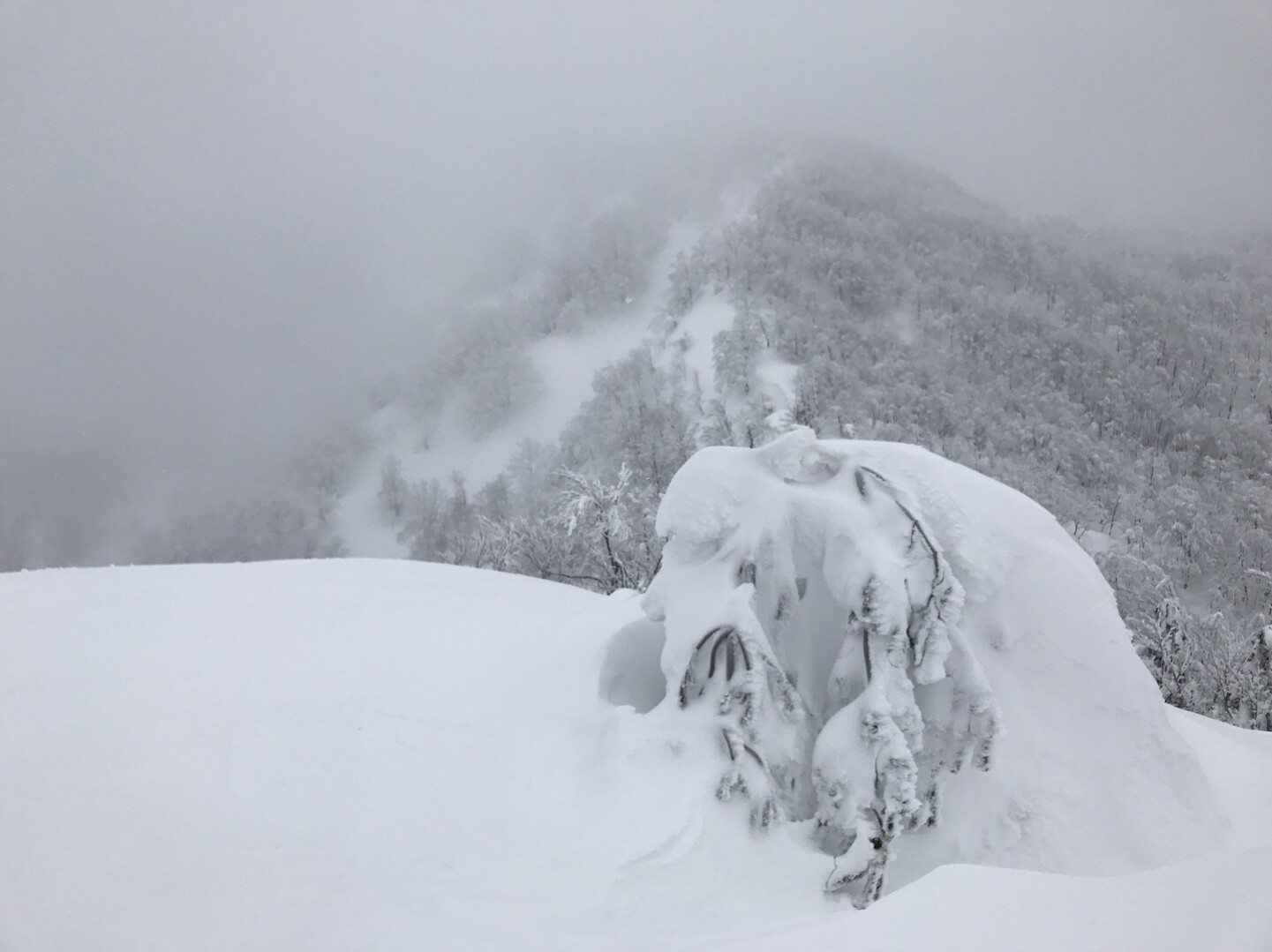 歩くと暑く 休むと寒い 冬の山 三沢山 面白山 神室岳の写真13枚目 オン ザ 三沢山 看板埋もれてる Yamap ヤマップ