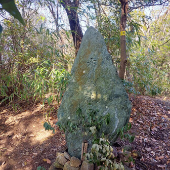 槇尾山（槙尾山）・和泉葛城山・神於山 😌