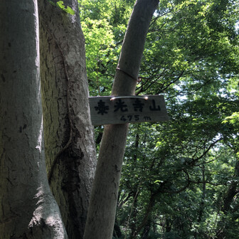 泰光寺山を通過しまーす。