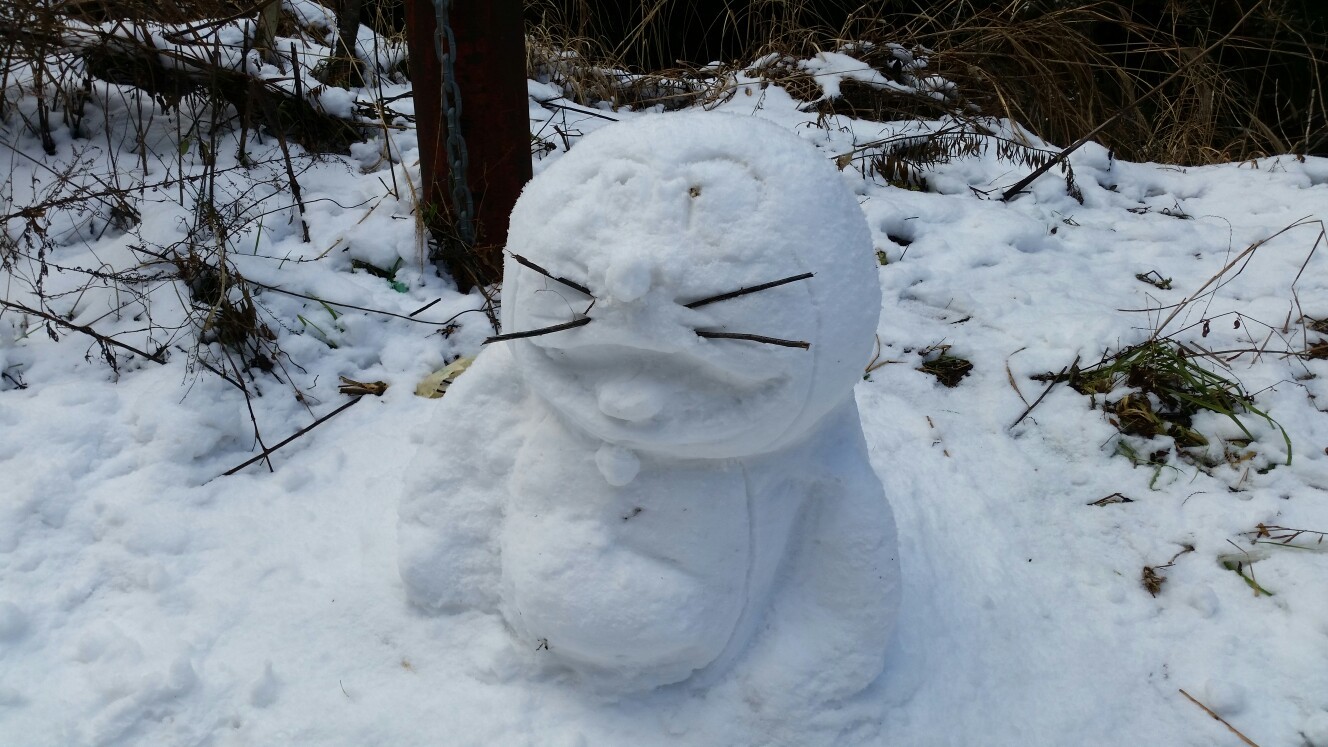 金剛山 雪山山行 青崩ルート セト 金剛山山頂 ちはや園地 ダイトレコース 水越峠 じゅりーさんの金剛山 二上山 大和葛城山の活動データ Yamap ヤマップ
