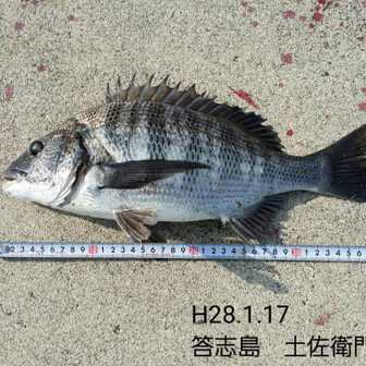 クボタのブンブン