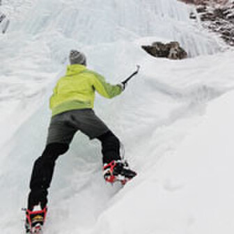 クロスポイント（ぺいこん）