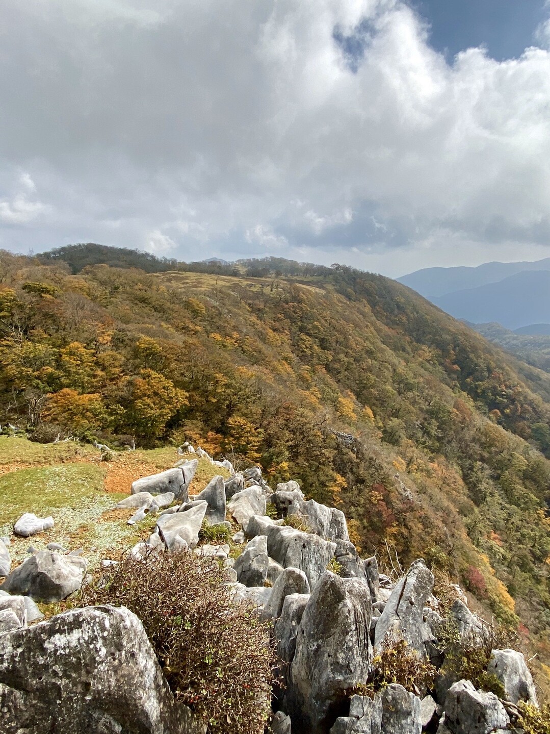 御池岳、鈴北岳を周回で❗️