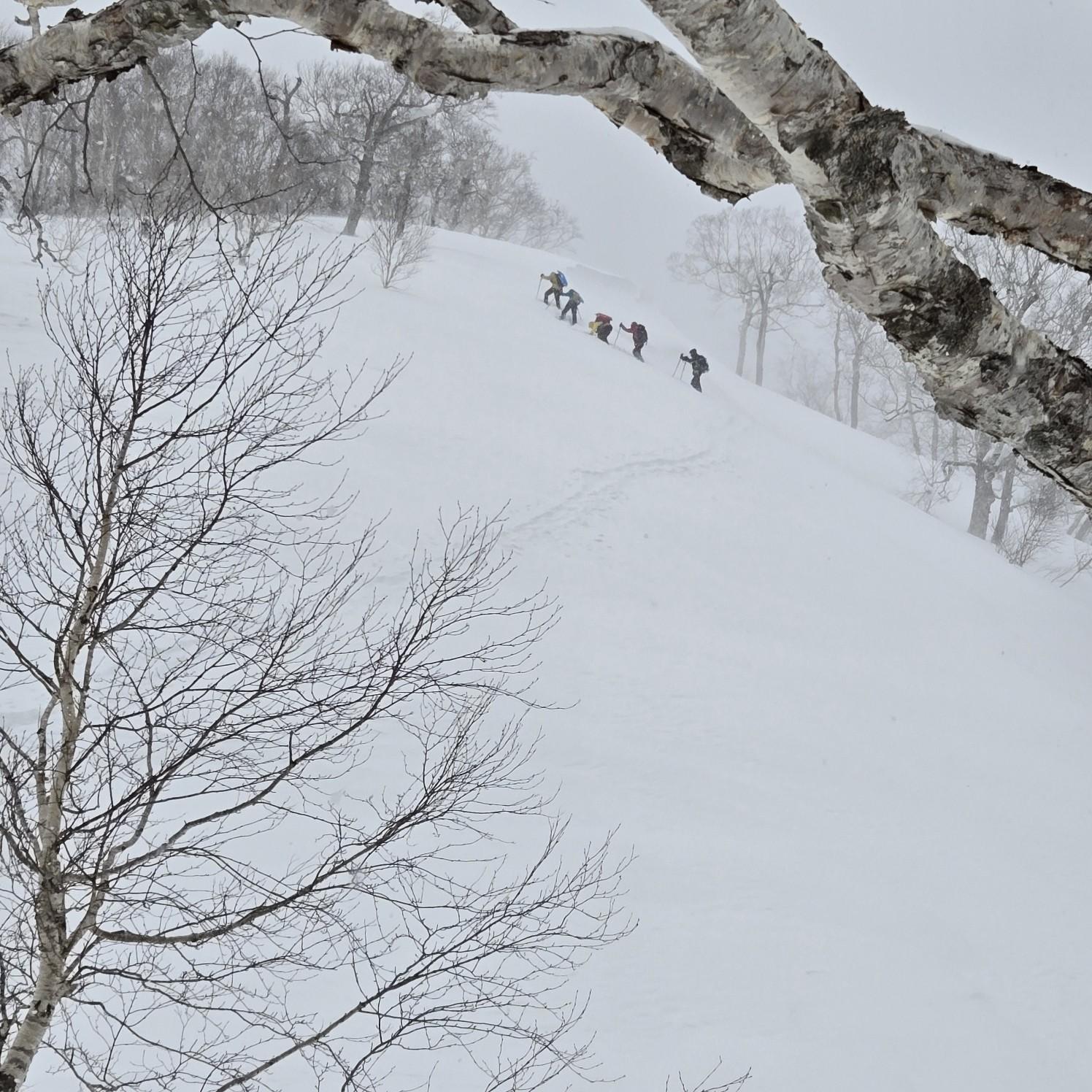 タケノコ山（北海道） | YAMAP / ヤマップ