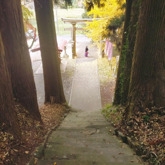 もう少しで駐車場
なんの音かと思ってたが、
ブロワーで落葉を掃除してる