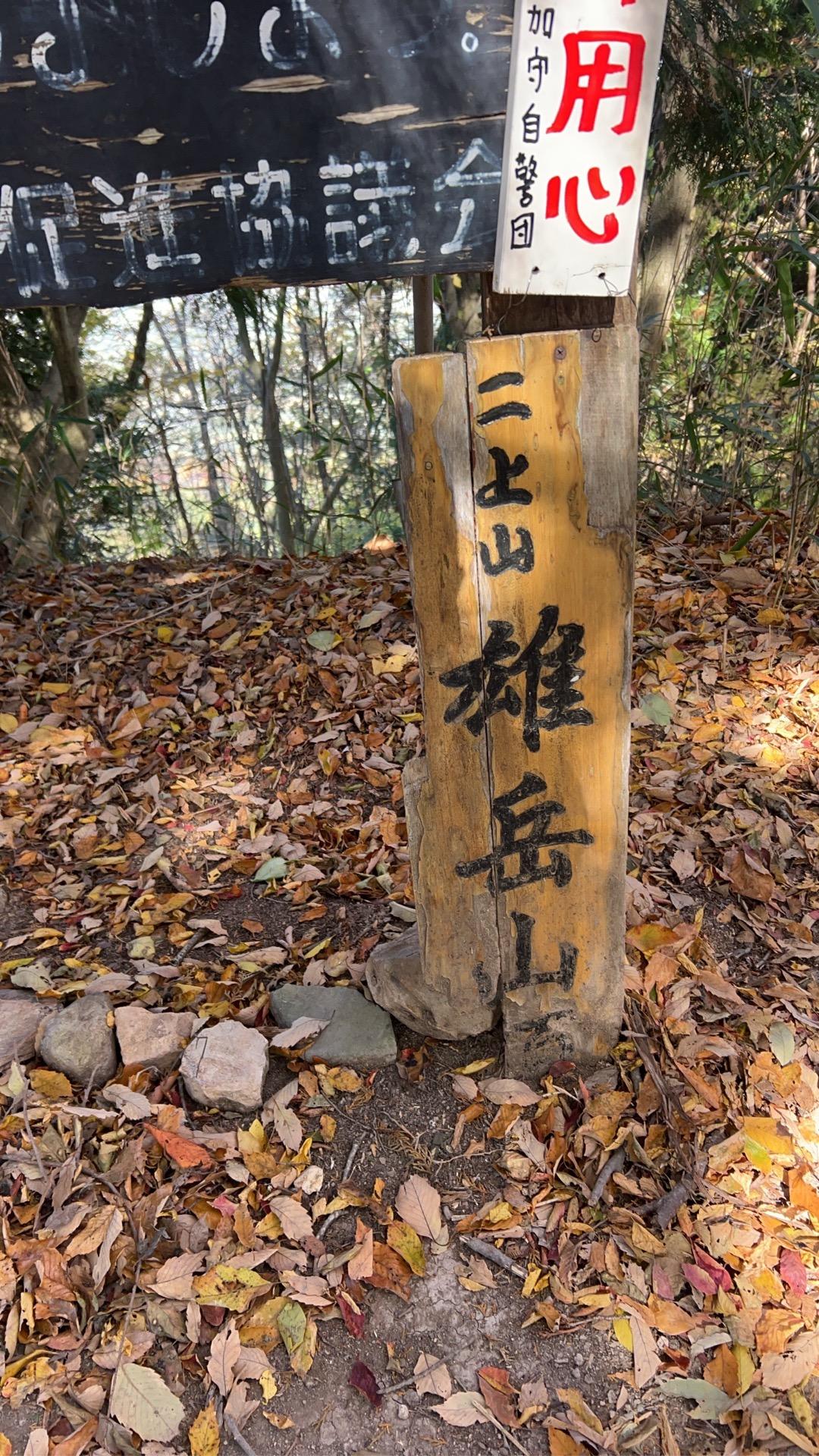 山山 ヨドバシ.com - サロモン SALOMON エックスエー プロ 3D V9 メンズ