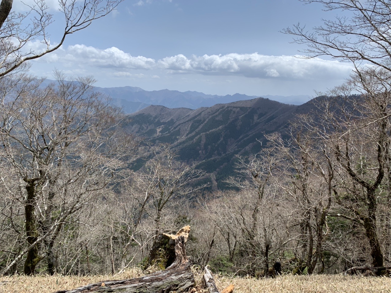 小坪谷から行者還岳 熊発見 写真はないですが やすじさんの八経ヶ岳の活動データ Yamap ヤマップ