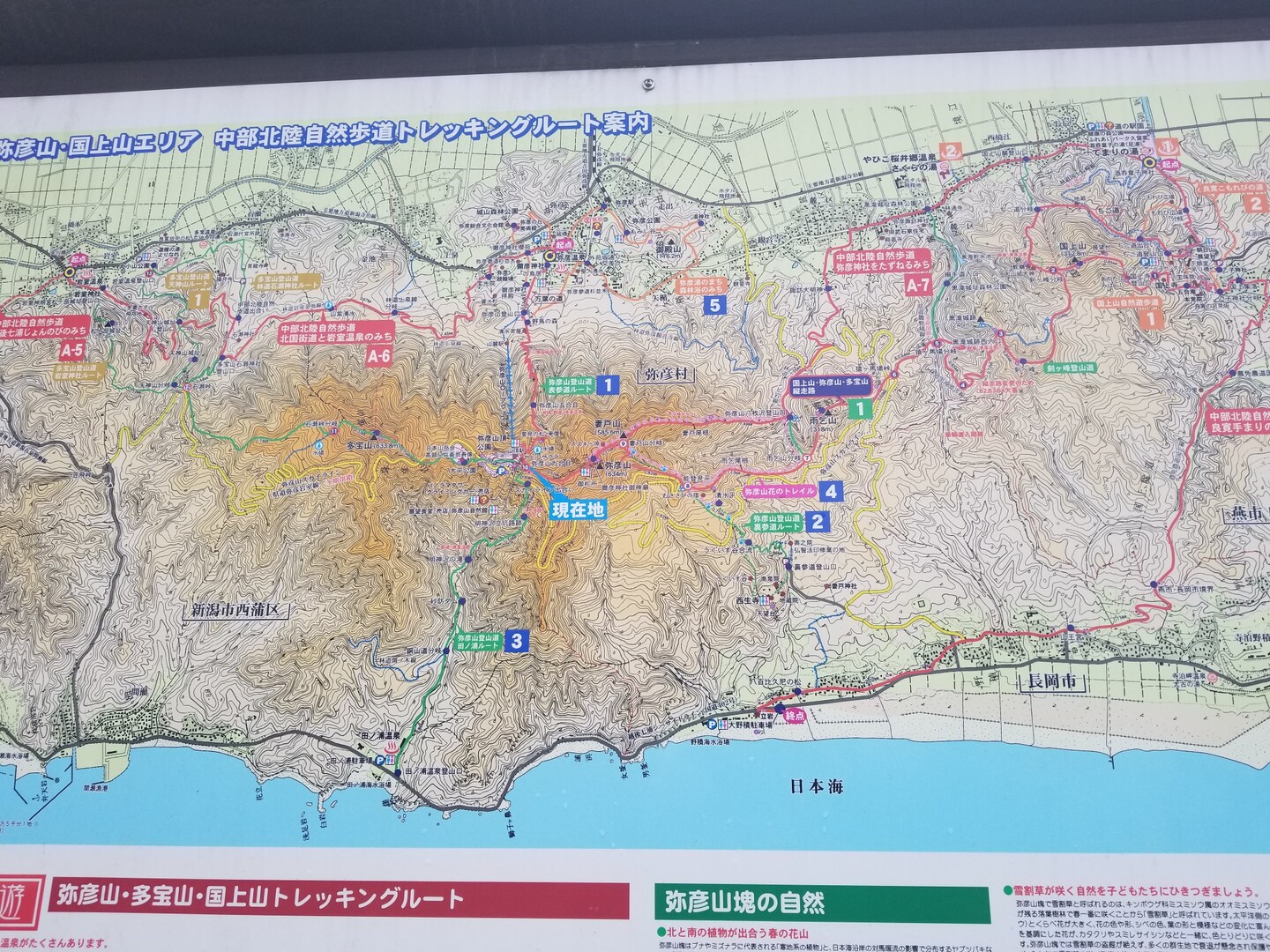 弥彦山 19 12 22 かずさんの弥彦山 多宝山 雨乞山の活動データ Yamap ヤマップ