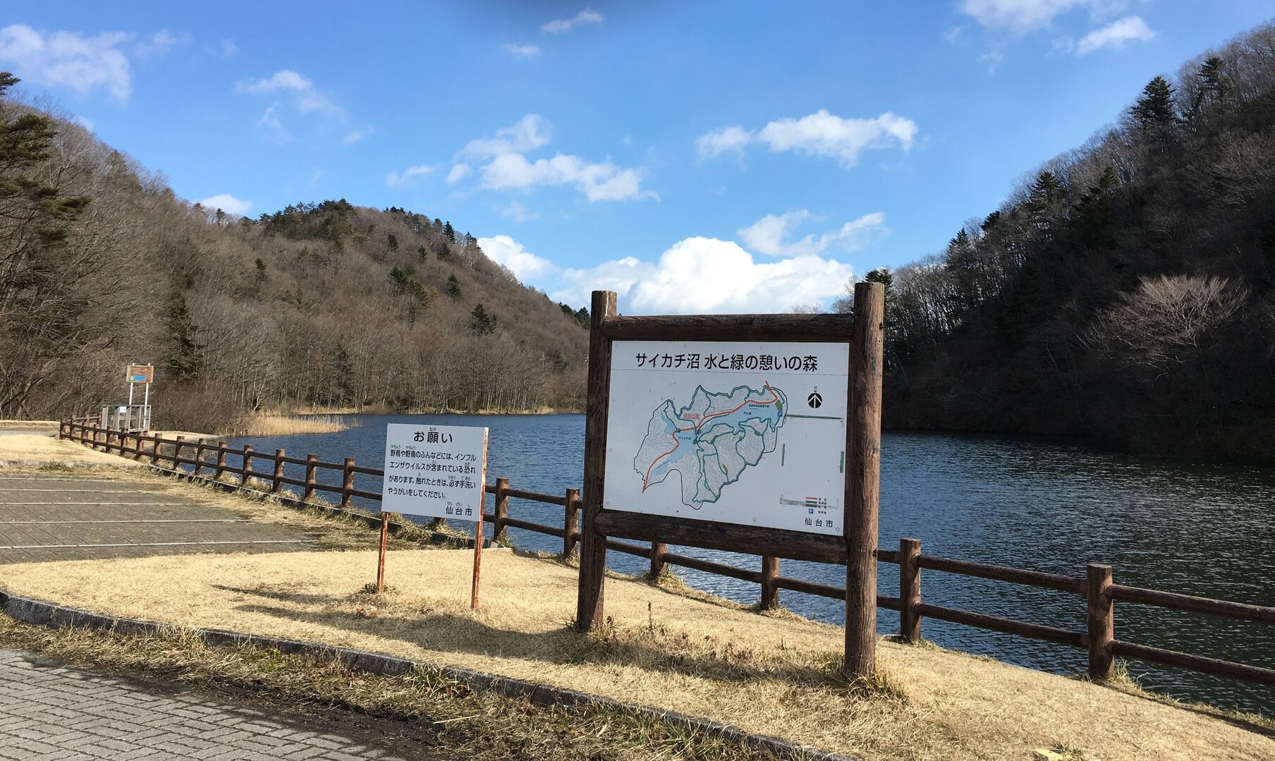 サイカチ沼のお山を徘徊 ばばちゃんさんの仙台市の活動データ Yamap ヤマップ