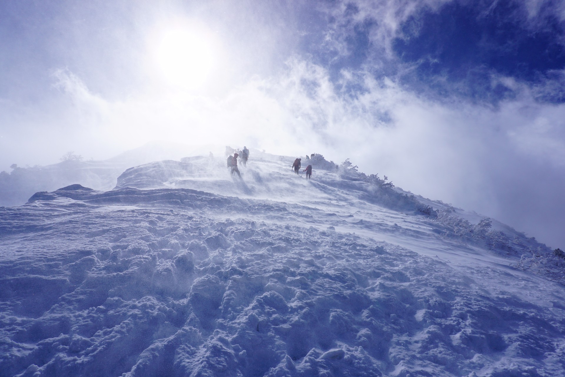 ホワイトぉ アウトぉー ガキ使の笑ってはいけない風に読んでね 伯耆大山 ソーヤさんの大山 鳥取県 甲ヶ山 野田ヶ山の活動日記 Yamap ヤマップ
