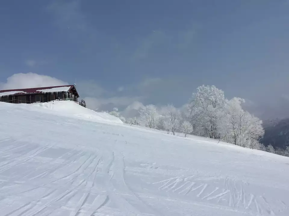 雪質日本一 ピアシリ ひめひめさんのピヤシリ山の活動日記 yamap ヤマップ