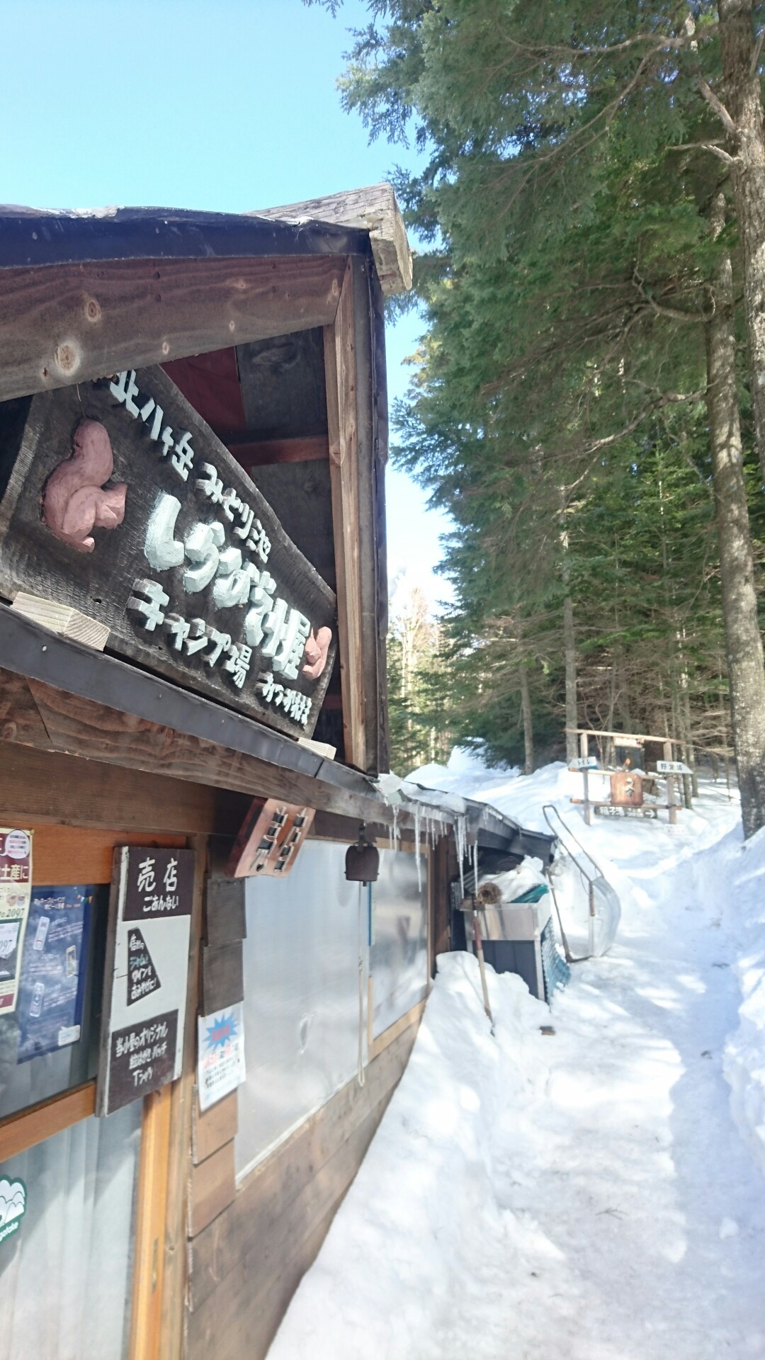 北八ヶ岳 しらびそ小屋のチーズケーキセットを目指して Q Brightさんの八ヶ岳 赤岳 硫黄岳 天狗岳 の活動データ Yamap ヤマップ