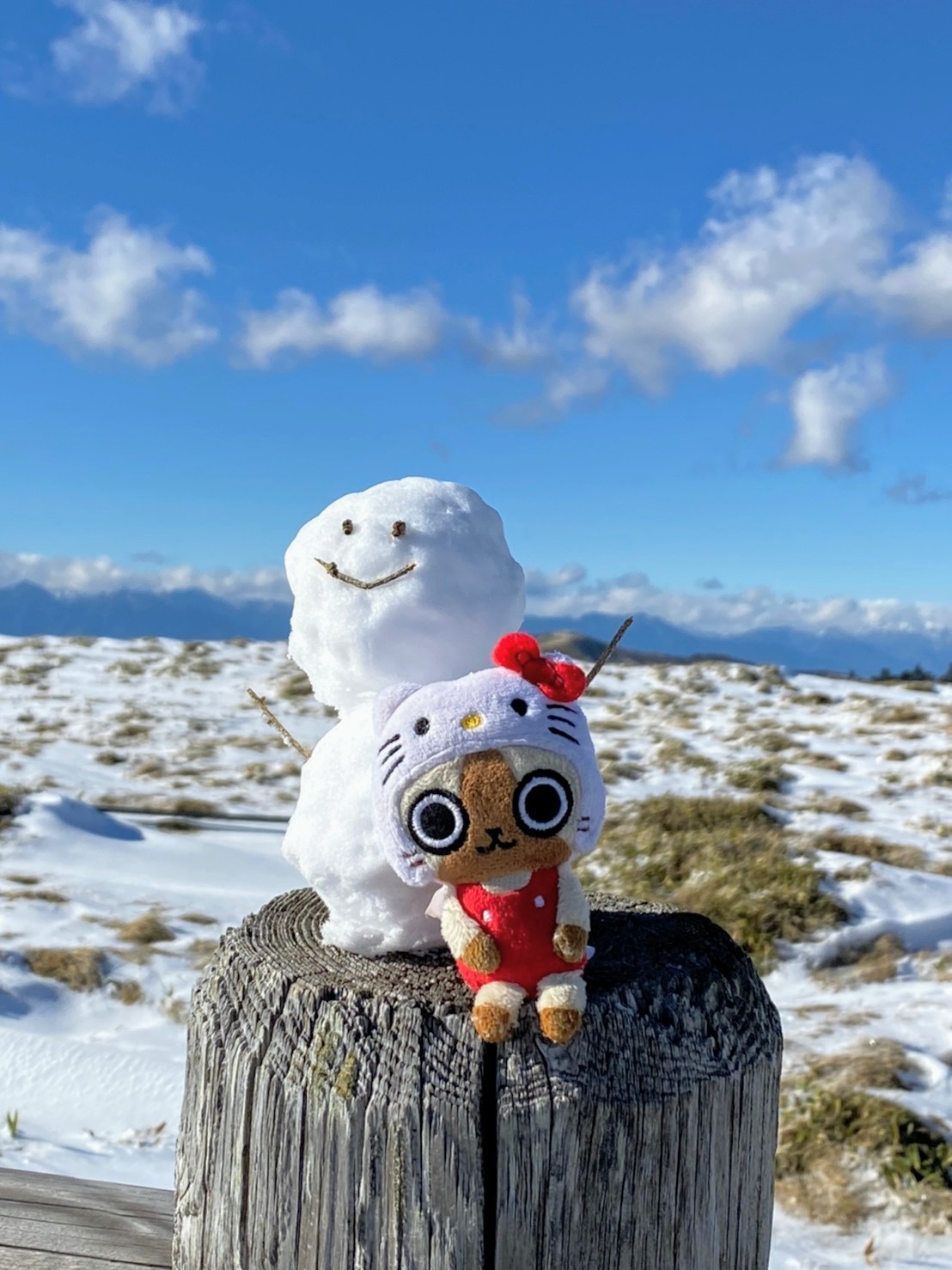 Go To 美ヶ原 ニャンタークエスト 1 ペア 破裂の銀行さんの美ヶ原の活動データ Yamap ヤマップ