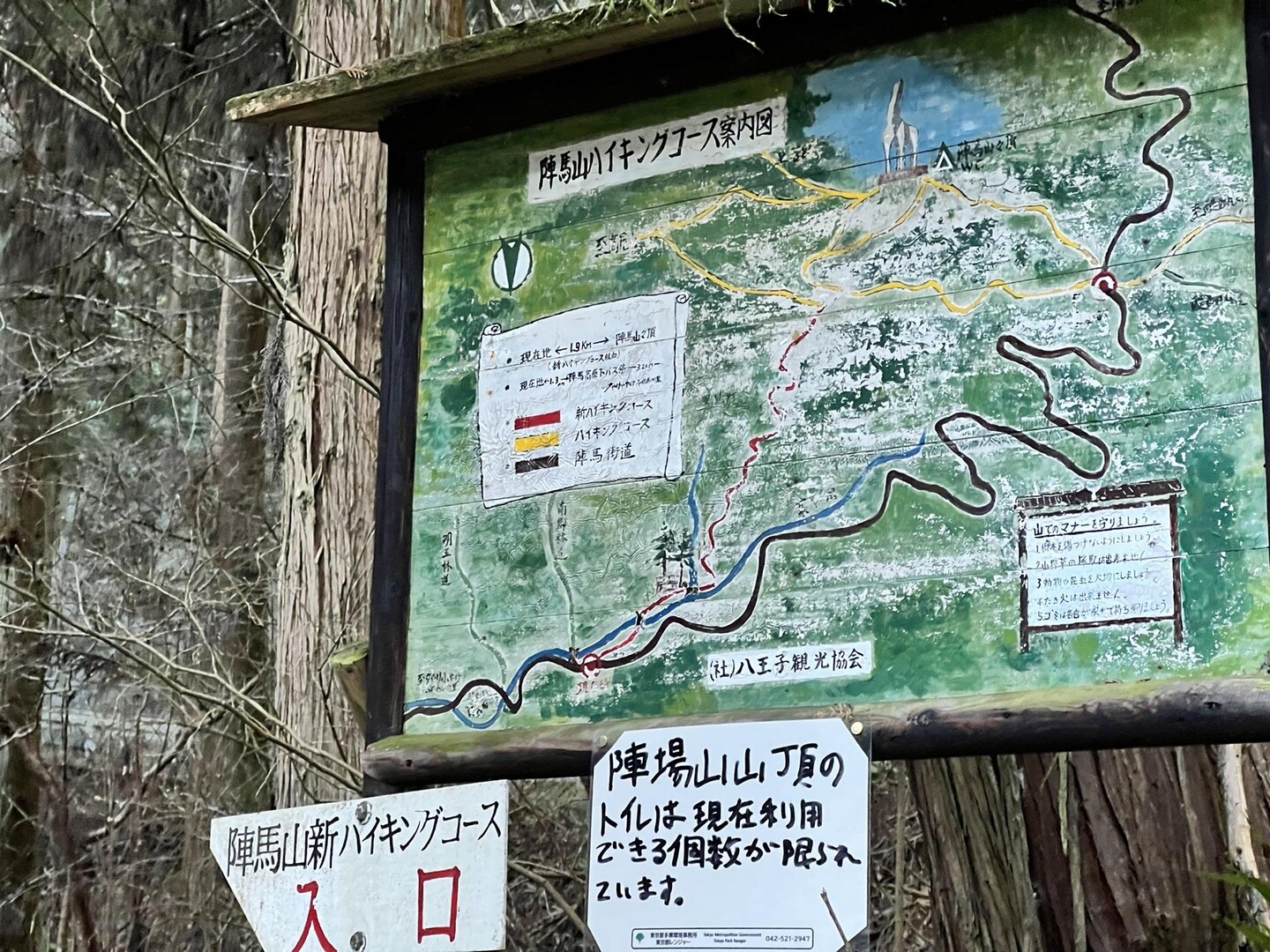 奥高尾縦走 陣馬山 景信山 高尾山 高尾山 陣馬山 景信山の写真6枚目 さぁ 楽しい時間の始まり Yamap ヤマップ