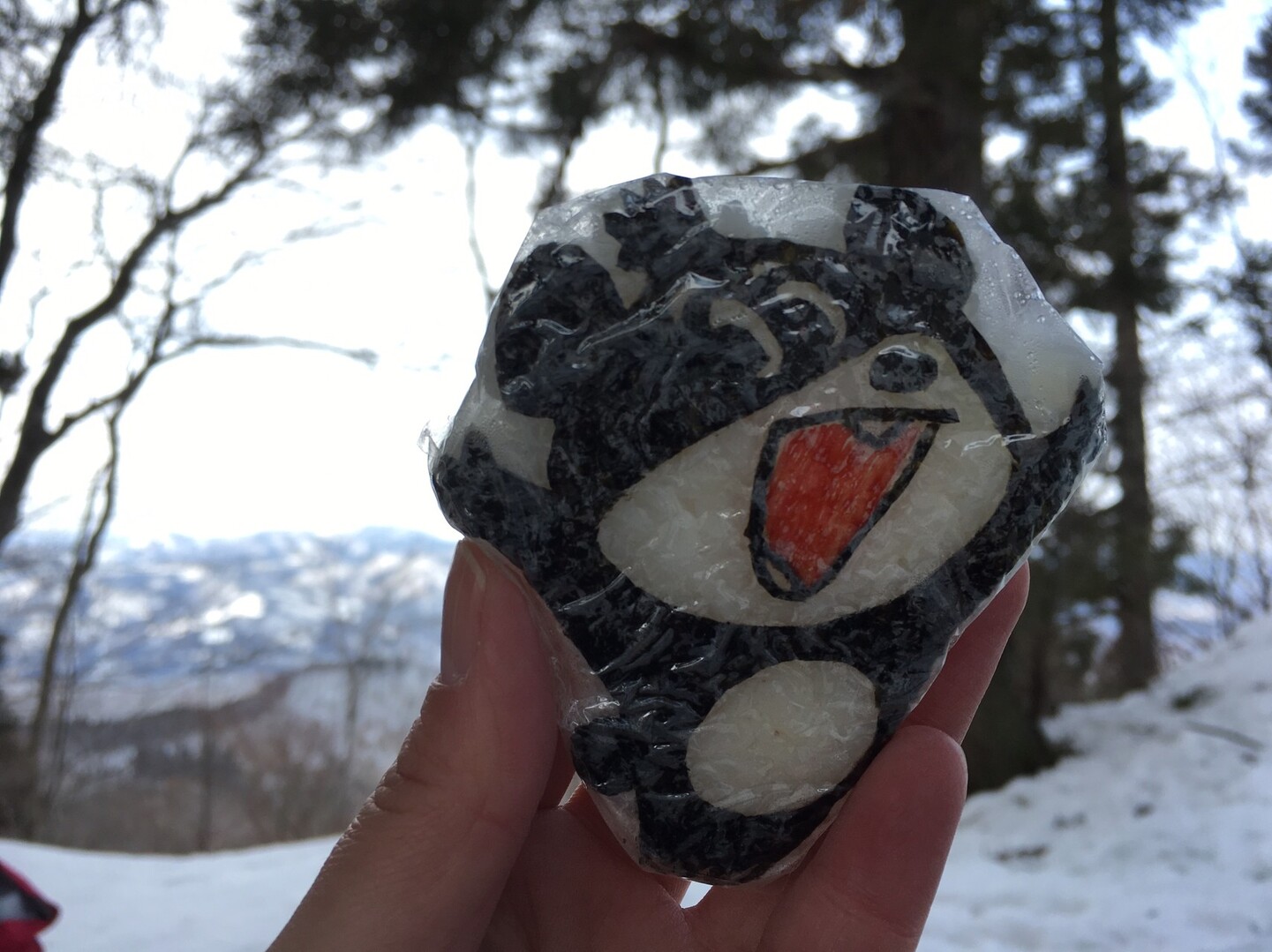山形deマッタリ山旅 三吉山 葉山 斉藤茂吉も愛した里山へ W ﾉﾞ Go Gomaさんの三吉山 葉山の活動日記 Yamap ヤマップ