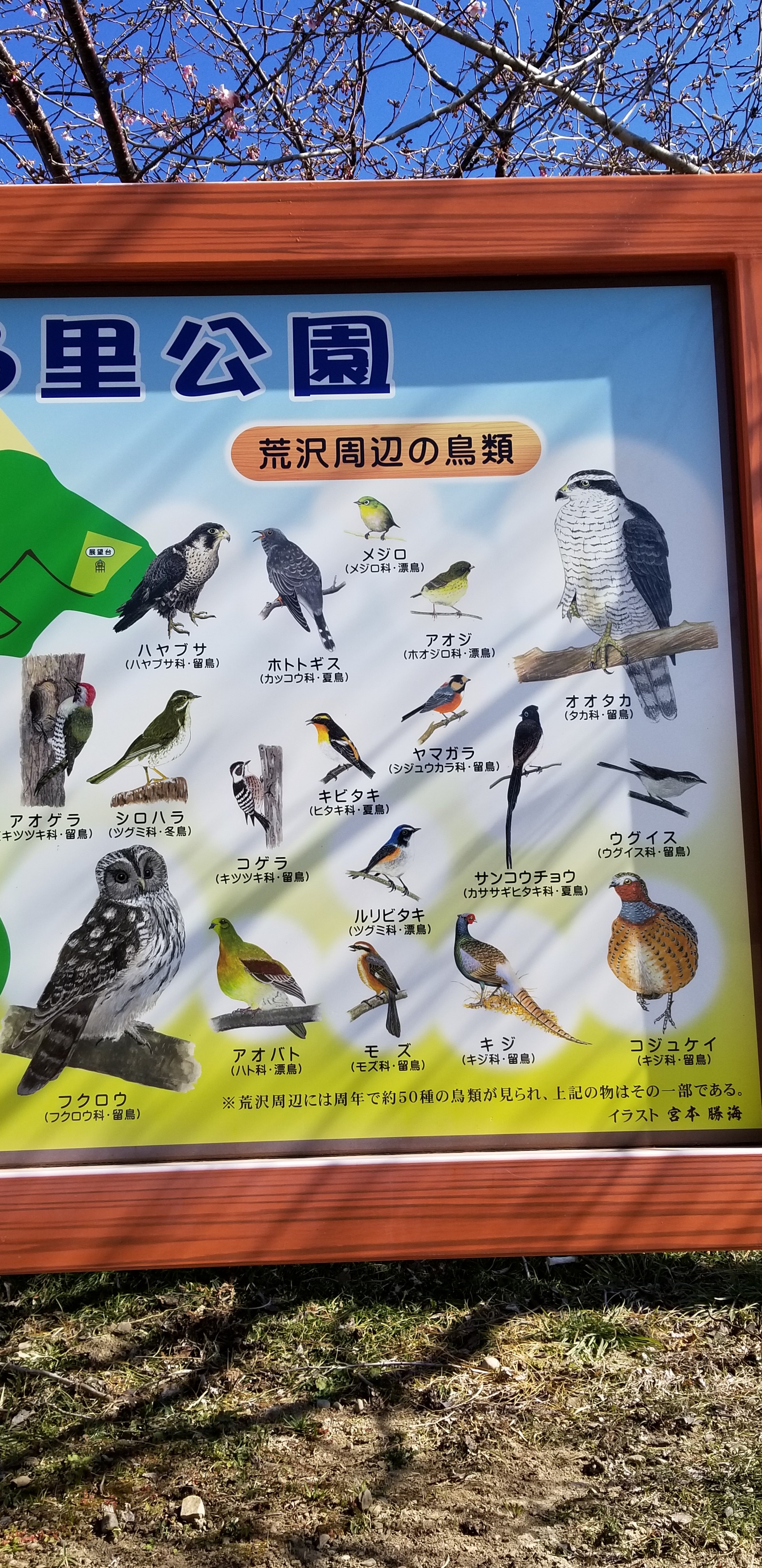 御前崎市 あらさわ公園梅まつり 山長さんさんの御前崎市の活動日記 Yamap ヤマップ