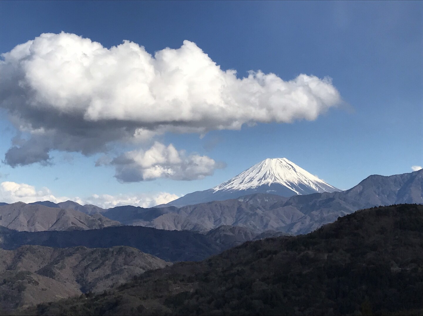 源氏山 八雲池公園 出頂ノ茶屋 源氏山 出頂ノ茶屋 八雲池公園 たいよーさんの櫛形山 裸山 唐松岳の活動データ Yamap ヤマップ
