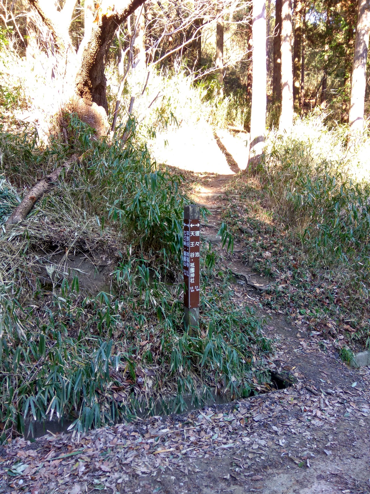 六甲山 阪神元町 鍋蓋山 牛の背 鈴蘭台 六甲おろしさんの六甲山 長峰山 摩耶山の活動データ Yamap ヤマップ