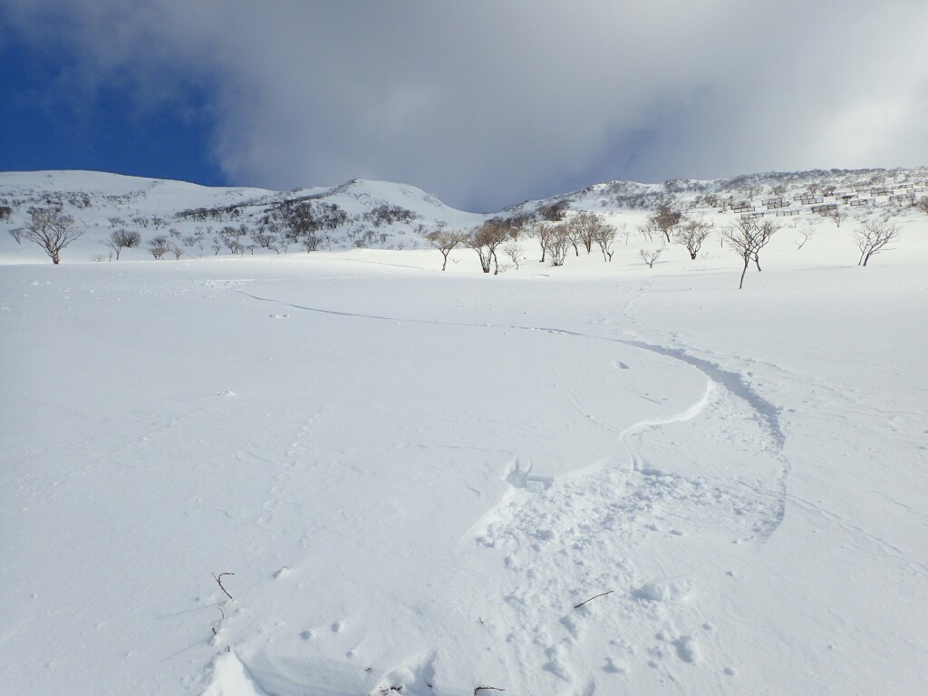 伊吹どんだけぇ クレさんの伊吹山 伊吹高原 御座峰の活動日記 Yamap ヤマップ