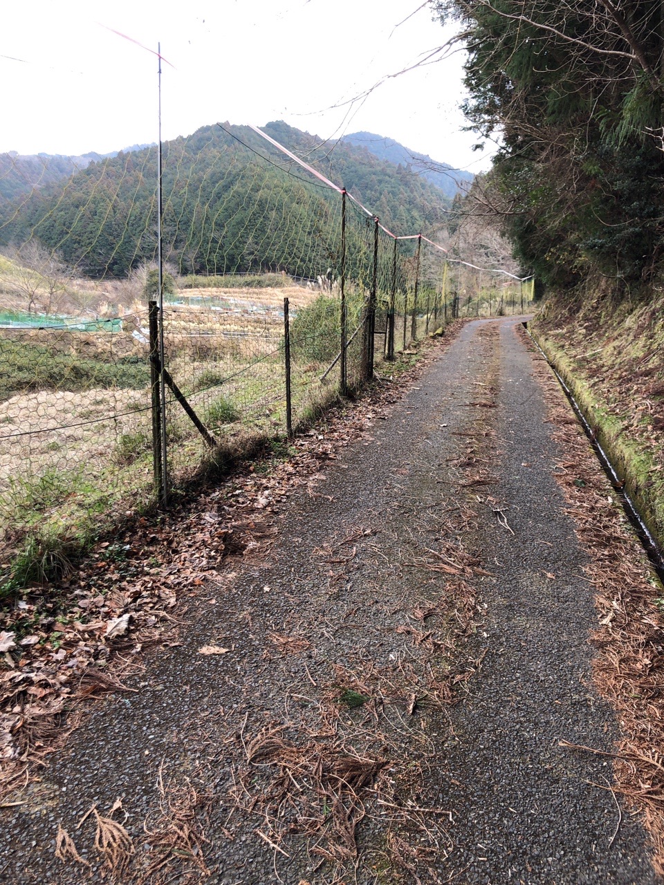 高取山 民家がなくなり山と谷だけになってきました。