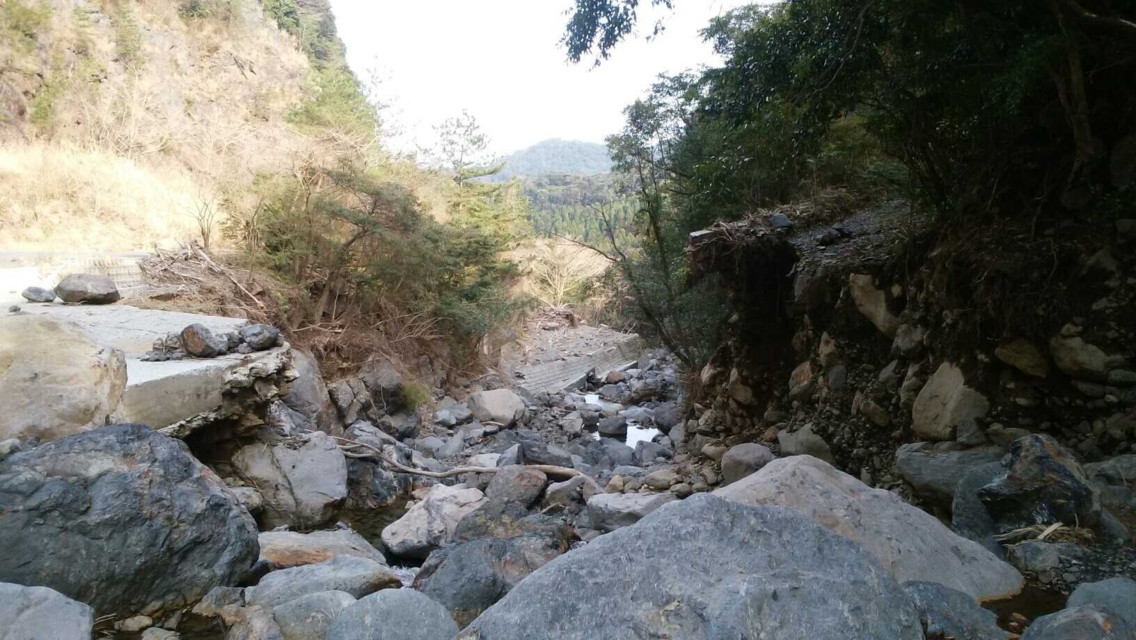 迫真登山部 大箆柄岳 沢 登山口より往復 Mn01さんの高隈山 大箆柄岳 御岳の活動日記 Yamap ヤマップ