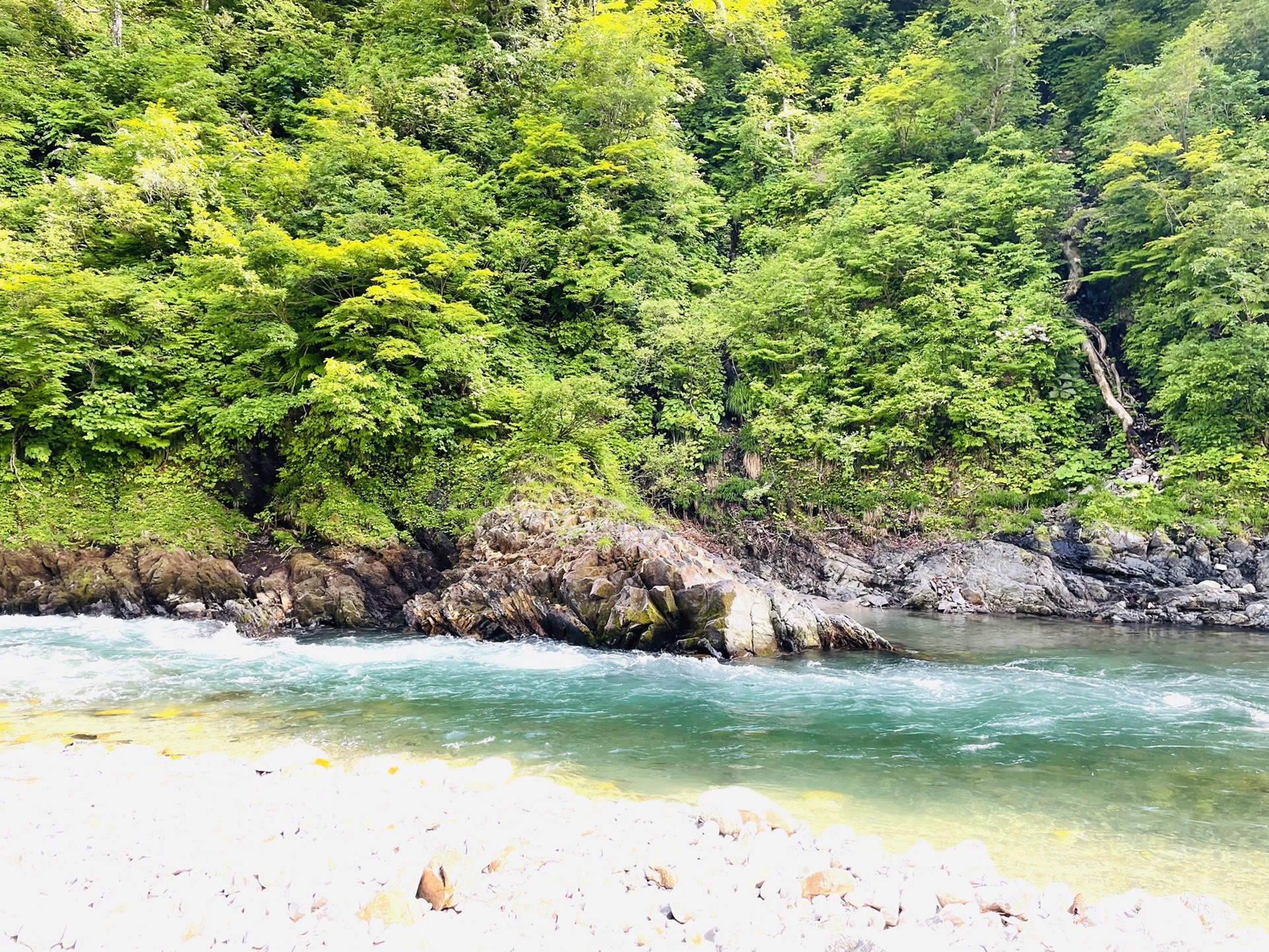 綺麗✨
川で遊んでいたら、