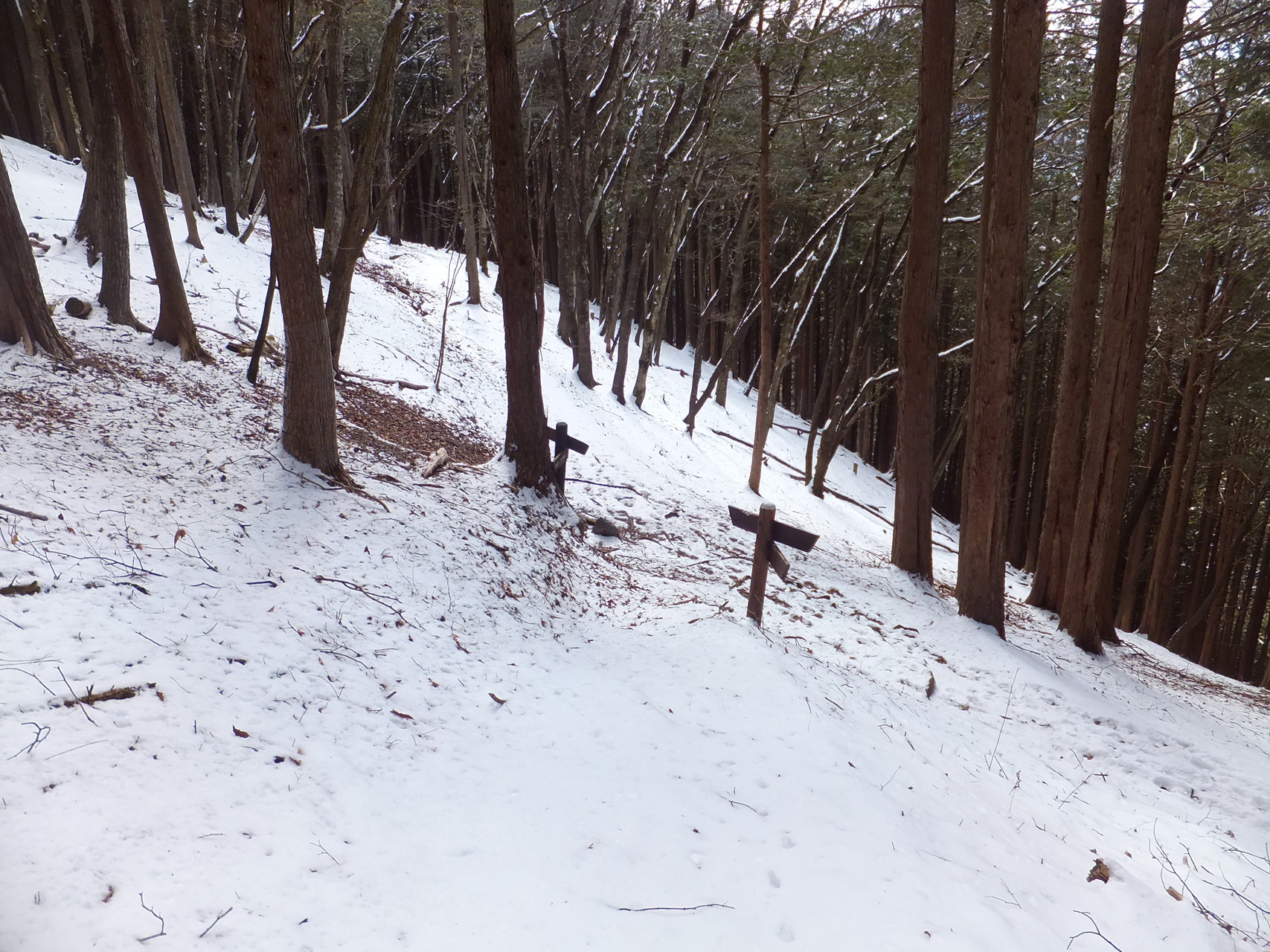 三峰からの雲取山 山荘泊でピストン あかねのチチさんの雲取山 鷹ノ巣山 七ツ石山の活動データ Yamap ヤマップ
