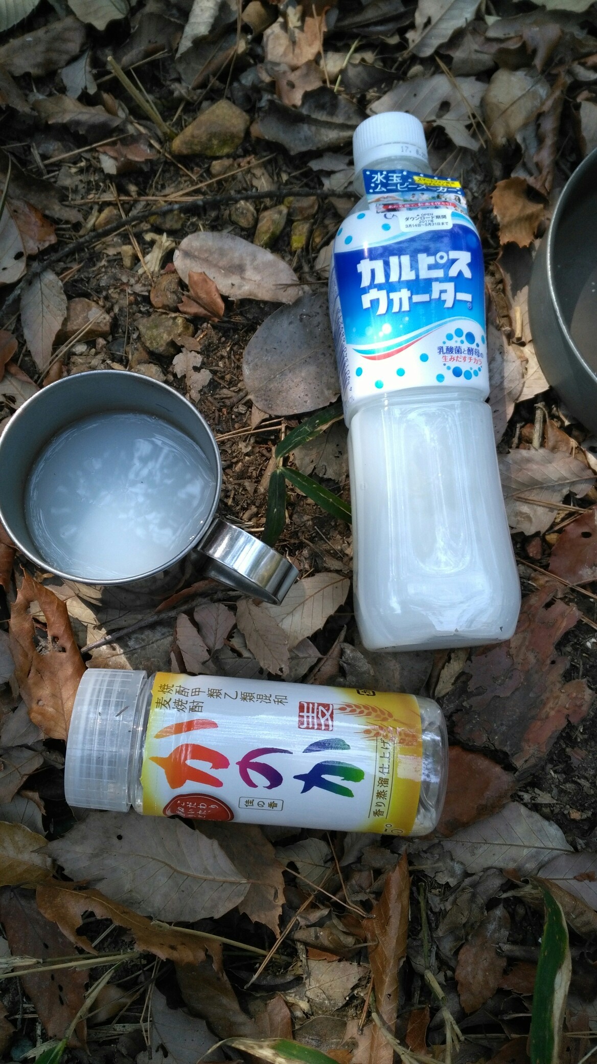 定光寺から春日井三山 K Takashiさんの春日井三山 弥勒山 大谷山 道樹山の活動日記 Yamap ヤマップ