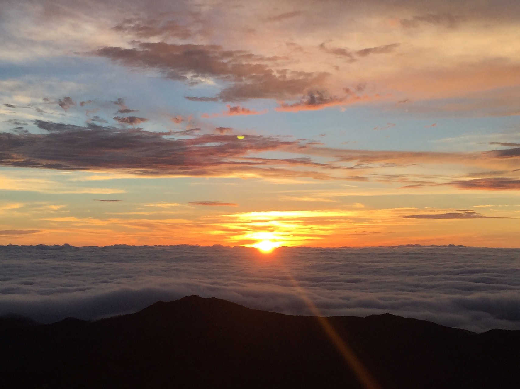 大台ケ原 日の出岳 シーちゃんさんの大台ヶ原山 日出ヶ岳 大杉谷の活動データ Yamap ヤマップ