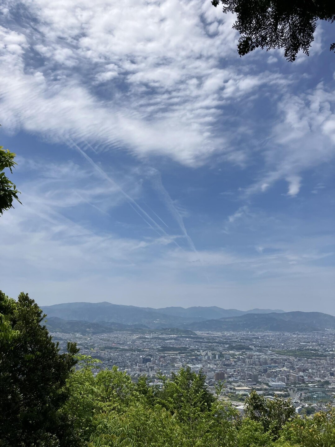 大原山・大城山 / 岳の子さんの四王寺山・大城山・大原山の活動データ YAMAP / ヤマップ