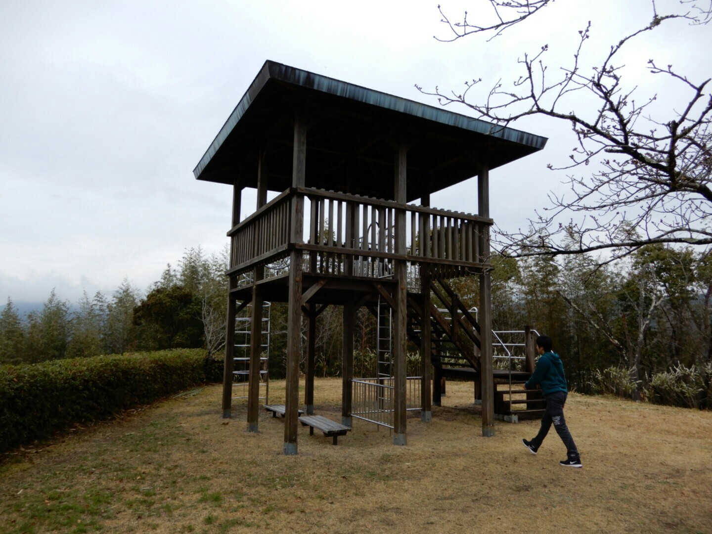 桜の名所 岡豊城跡 こと岡豊山 ゞ D A Nさんの南国市の活動日記 Yamap ヤマップ