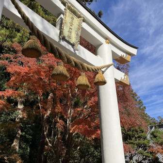 宝登山神社⛩️