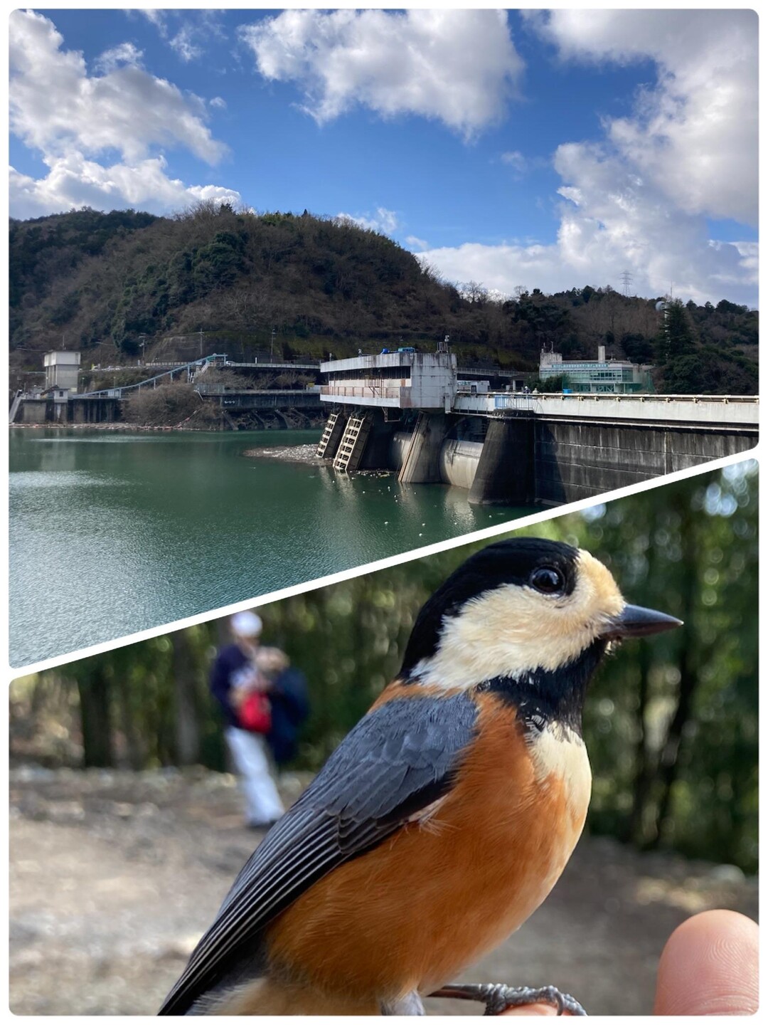 京都宇治の山で、癒されたい‼️ / …