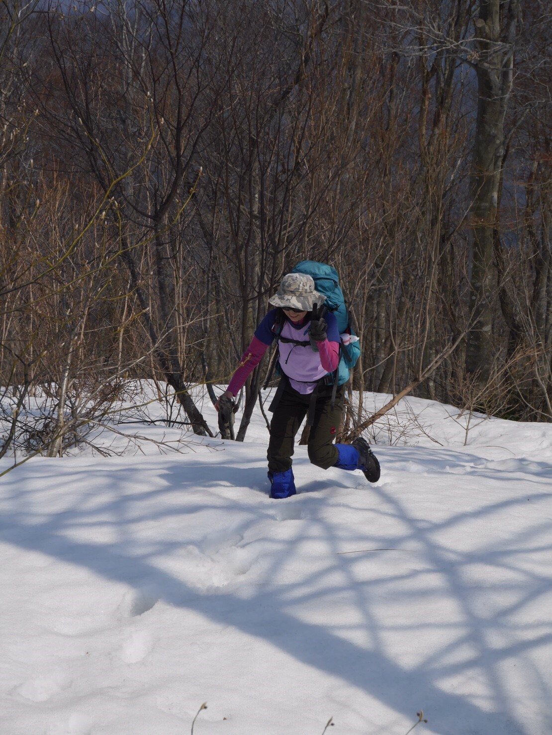 予想外のツボ足歩きで悪戦苦闘大爆笑の藤倉山 Keiさんの藤倉山 鍋倉山の活動データ Yamap ヤマップ