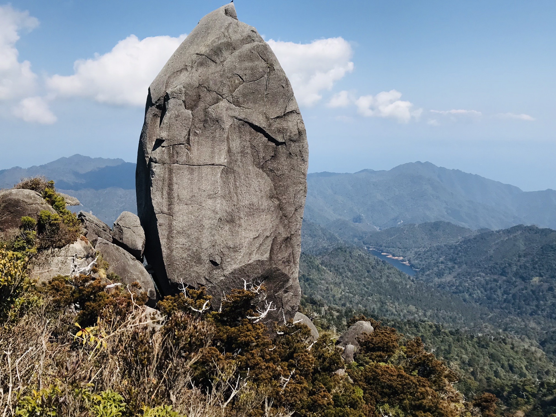 太忠岳 屋久島2日目 22 3 12 Ohikioyaさんの屋久島 宮之浦岳の活動データ Yamap ヤマップ