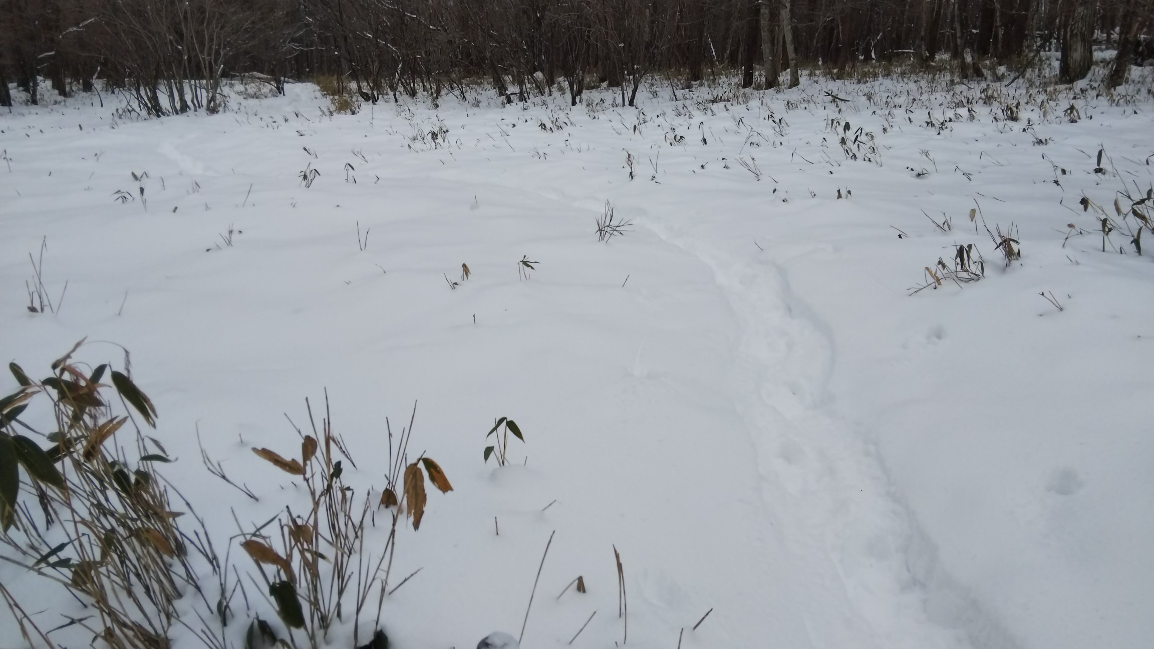 私のワカン跡～