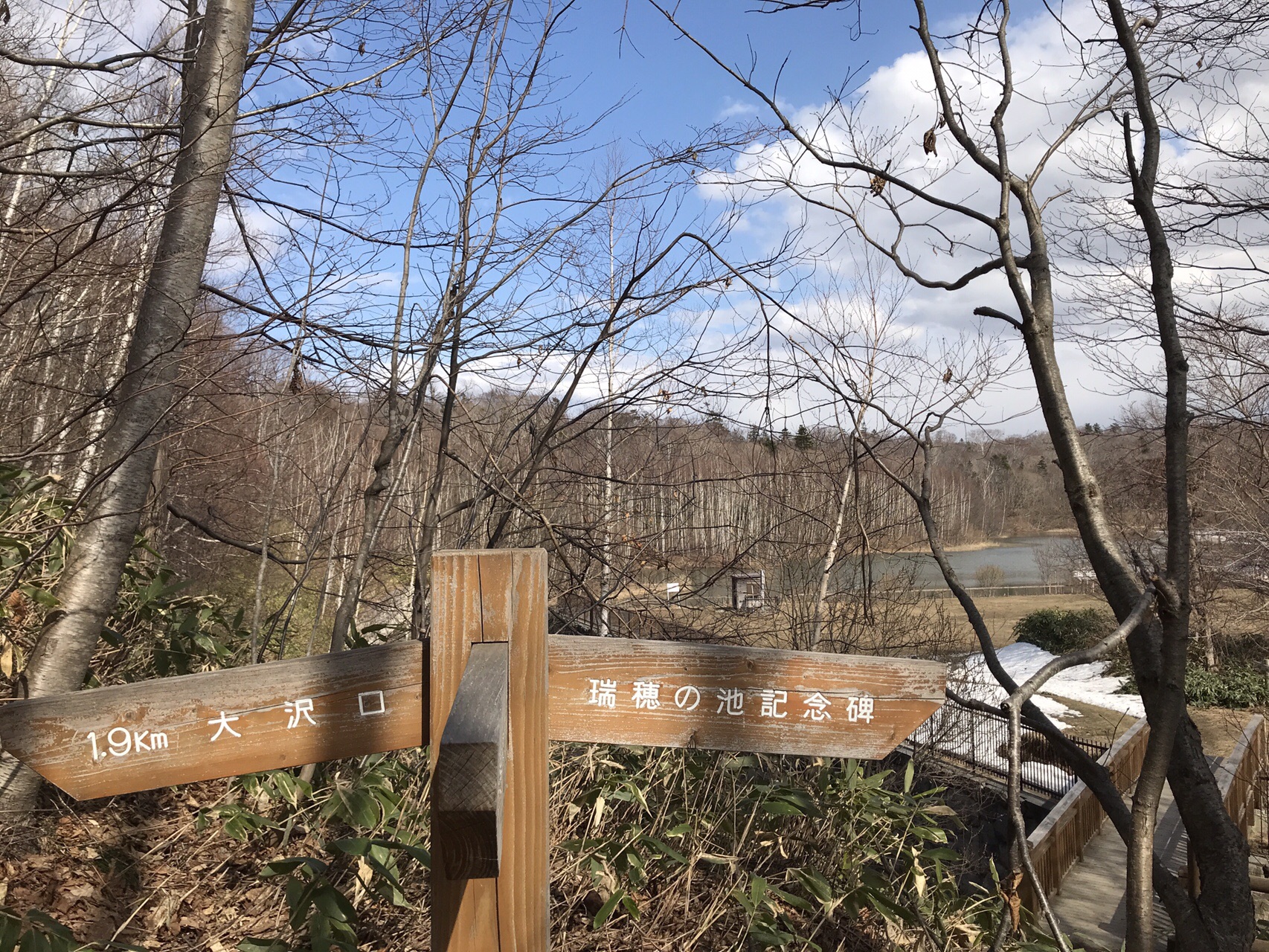 時間潰しに野幌森林公園へ 19 04 11 みいこさんの野幌森林公園の活動日記 Yamap ヤマップ