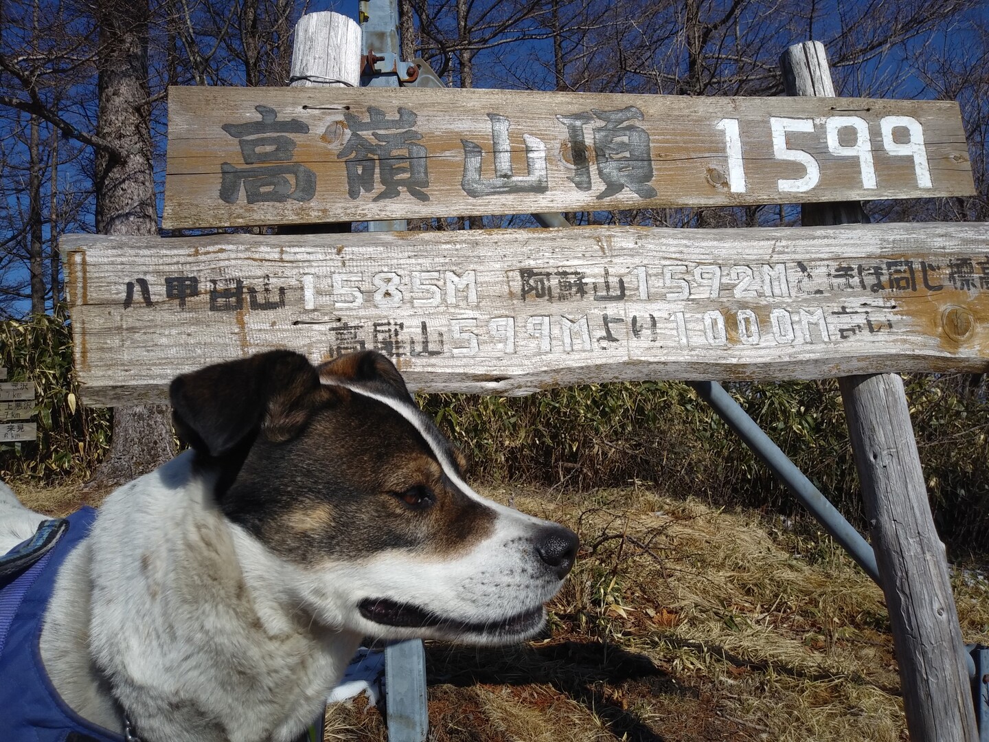 高嶺山 長者峰 02 11 はいじさんの高嶺山 長者峰の活動日記 Yamap ヤマップ