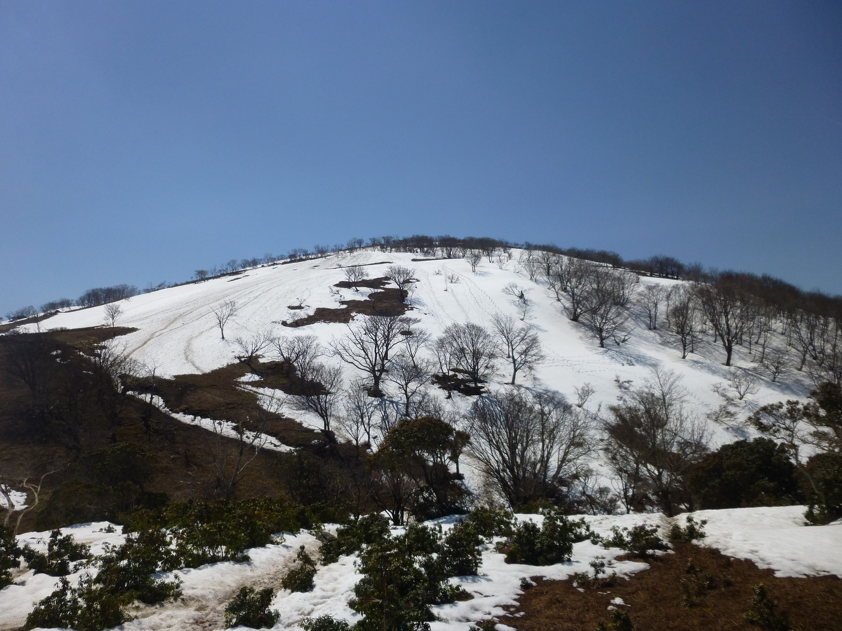 藤原岳 鈴鹿セブンマウンテン5座目 裏登山道 藤原岳頂上 表登山道 ユッキーさんの藤原岳 御池岳の活動データ Yamap ヤマップ